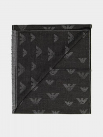 Шарфы и платки Emporio Armani модель 625048-0A348-00020 Фото