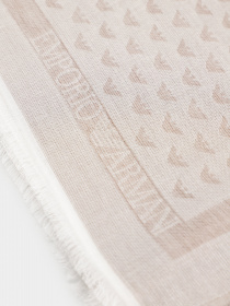 Шарфы и платки Emporio Armani модель 635300-CC102-00050 Фото