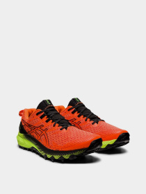 Кроссовки Asics модель 1011B329-800 Фото