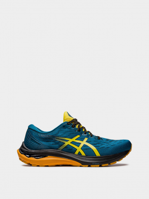 Кроссовки Asics  GT-2000 11 TR модель 1011B574-750 Фото