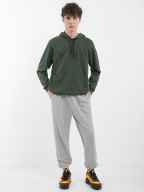 Худі та світшоти Asics Big Asics OTH модель 2031A984-301 Фото