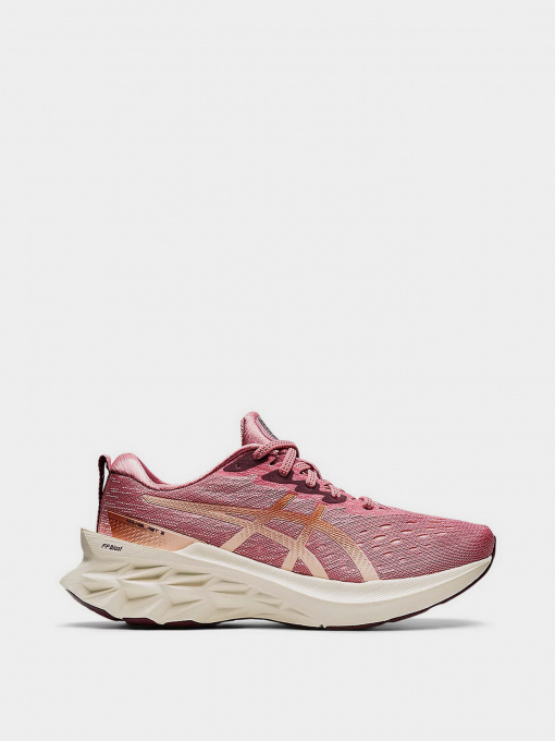 Кроссовки Asics Novablast 2 модель 1012B049-700 Фото