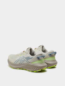 Кроссовки Asics GEL-EXCITE TRAIL 2 модель 1012B412-200 Фото