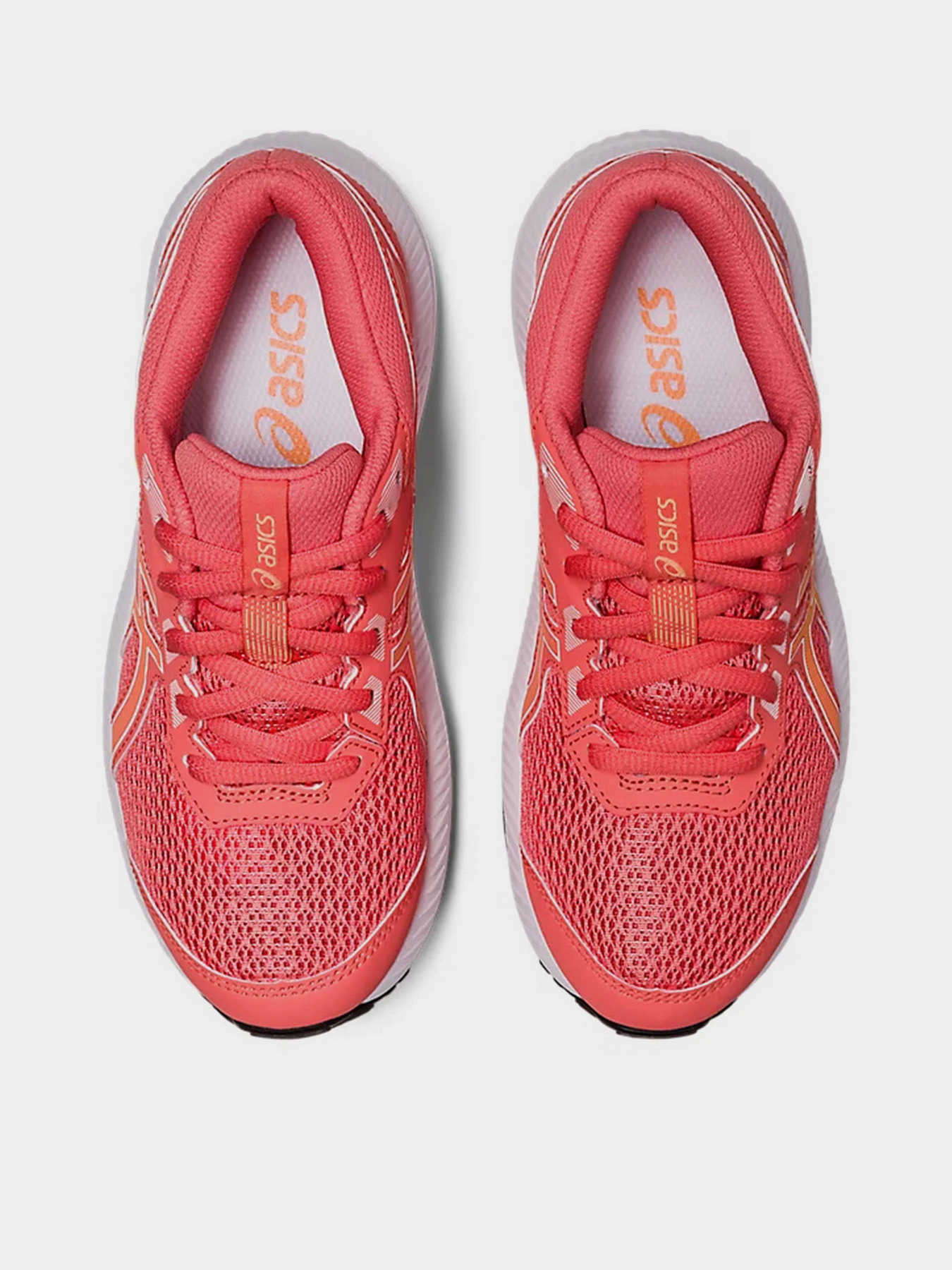 Кросівки Asics Contend 8 Gs модель 1014A259-700 Фото
