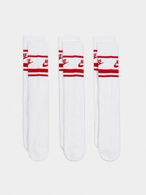 Шкарпетки та гольфи NIKE Everyday Essential модель DX5089-102 Фото
