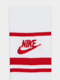 Шкарпетки та гольфи NIKE Everyday Essential модель DX5089-102 Фото