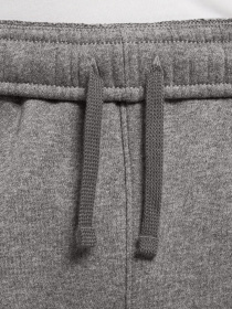 Брюки NIKE Sportswear Club Fleece модель BV2671-071 Фото
