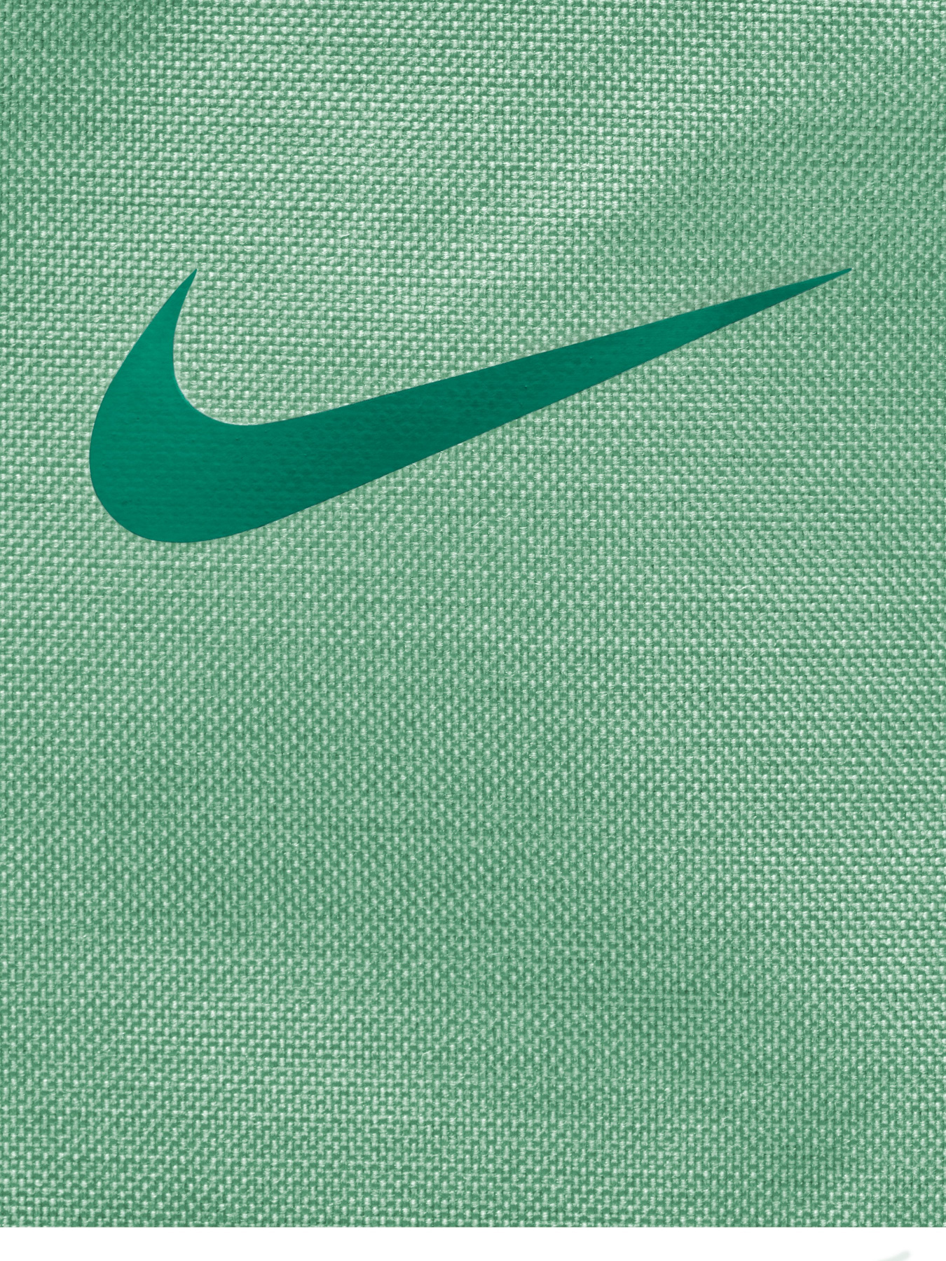 Рюкзаки NIKE Brasilia JDI модель BA5559-308 Фото