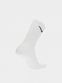 Шкарпетки та гольфи NIKE NIKE EVERYDAY LIGHTWEIGHT модель SX7676-100 Фото