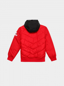 Куртки та дублянки NIKE JORDAN модель 95A627-R78 Фото