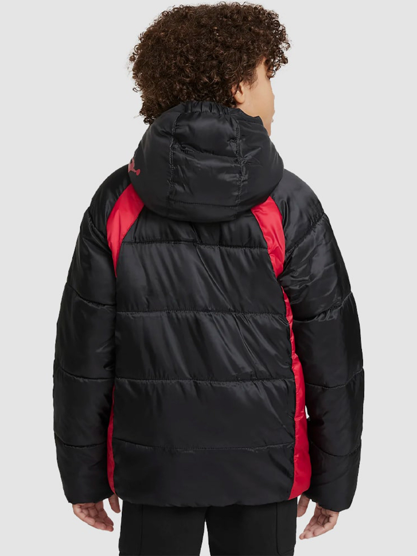 Куртки и дубленки NIKE Jdn Mj Flight модель 95A636-023 Фото