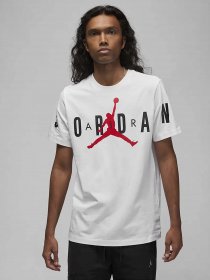 Футболки и поло NIKE JORDAN AIR модель DV1445-100 Фото