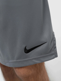 Шорты NIKE DF KNIT SHORT 6.0 модель DD1887-084 Фото