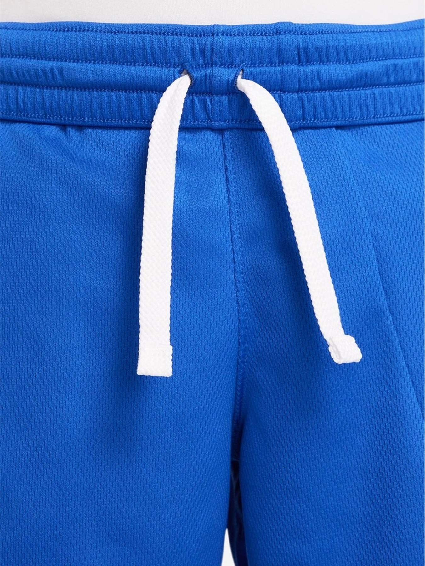 Шорты NIKE DRI-FIT модель DM8186-480 Фото