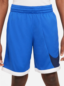 Шорты NIKE DRI-FIT модель DM8186-480 Фото