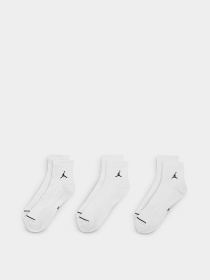 Шкарпетки та гольфи NIKE JORDAN CUSH POLY ANKLE модель DX9655-100 Фото