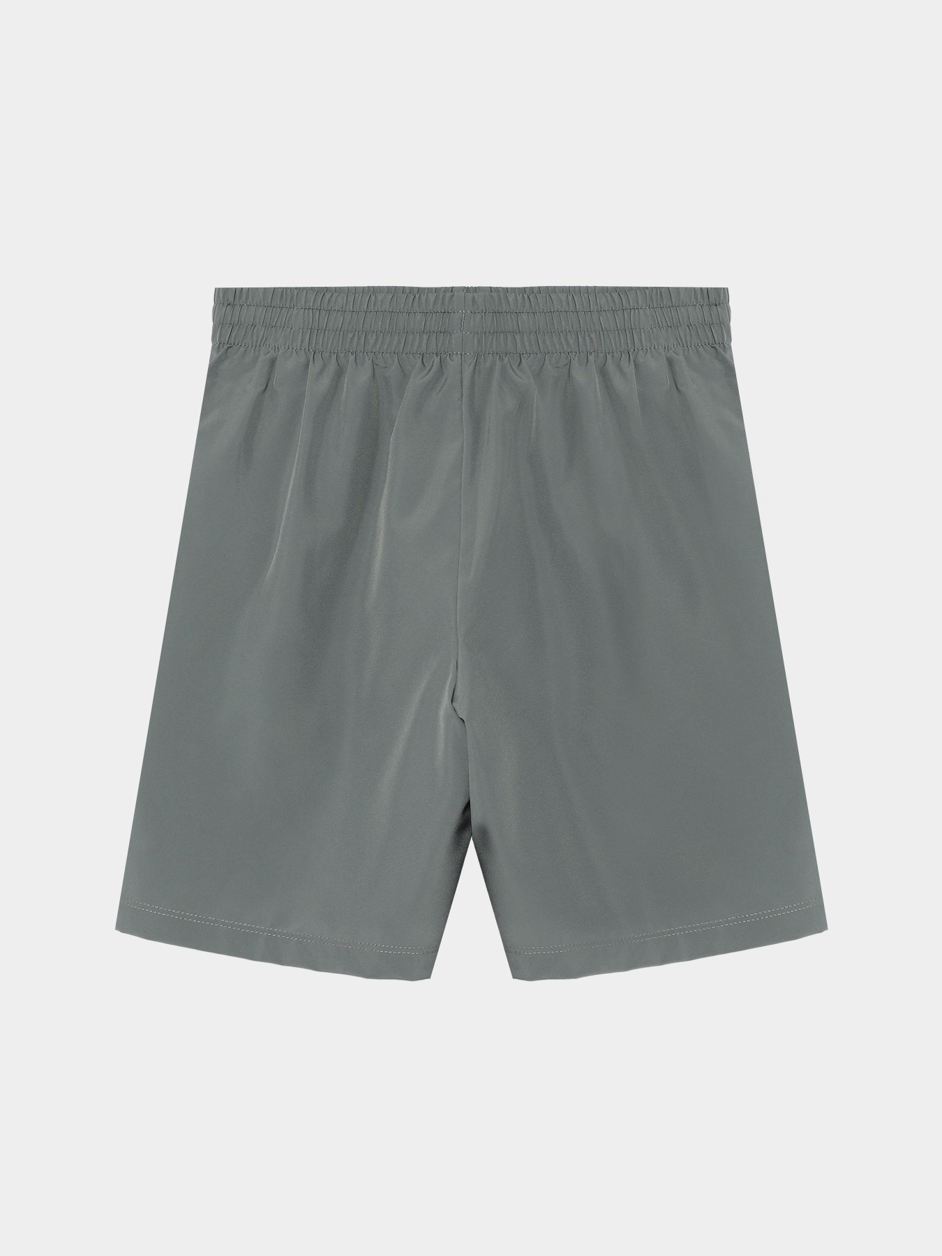 Шорты NIKE DRI-FIT TRAINING модель DX5382-084 Шорты NIKE DRI-FIT TRAINING модель DX5382-084 Фото