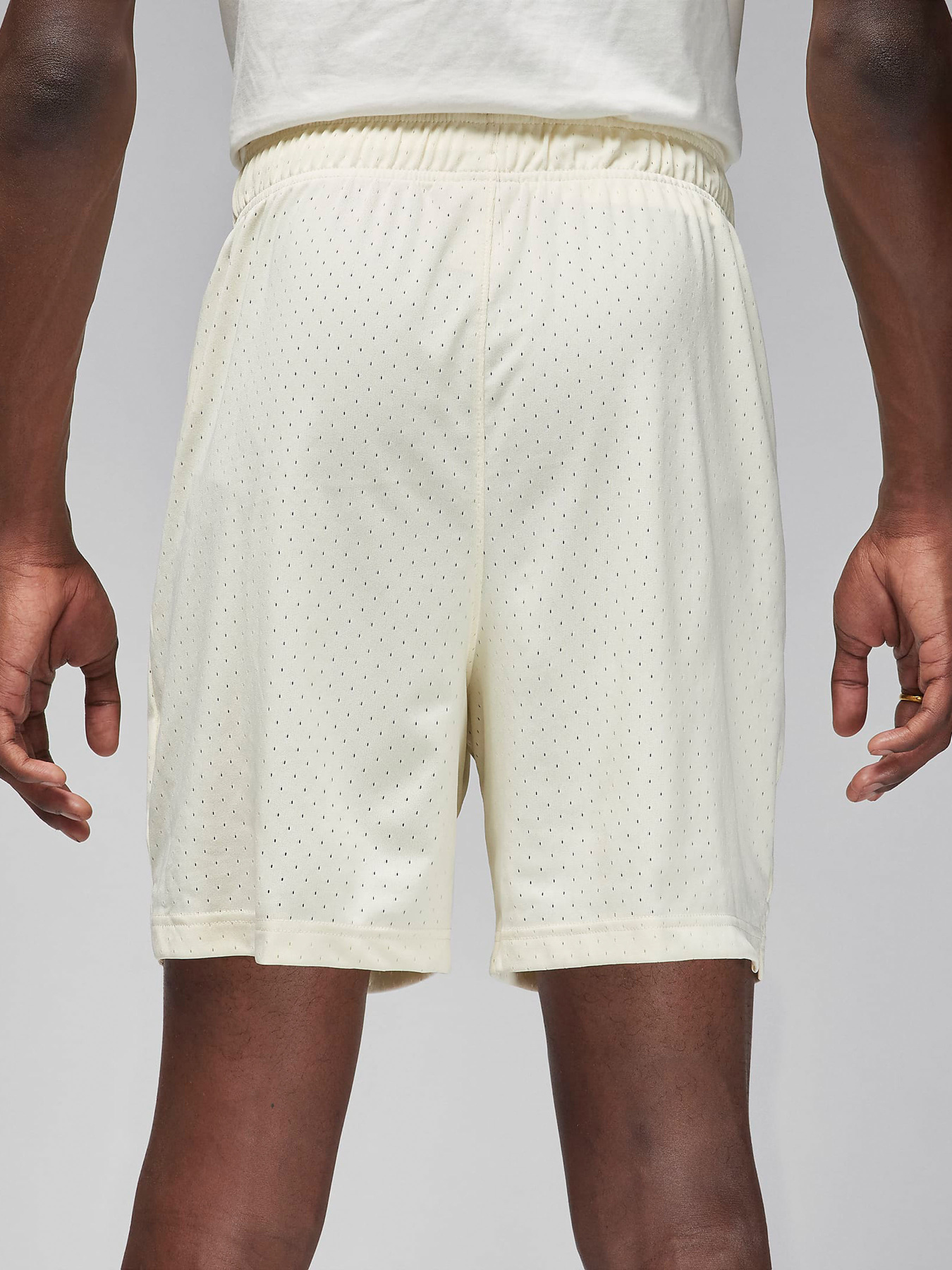 Шорты NIKE AIR JORDAN DRI-FIT модель FN5816-113 Шорты NIKE AIR JORDAN DRI-FIT модель FN5816-113 Фото