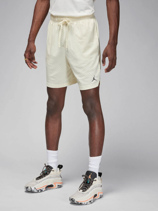 Шорти NIKE AIR JORDAN DRI-FIT модель FN5816-113 Фото