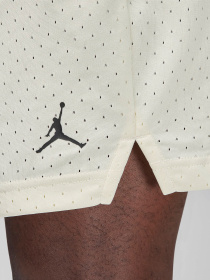 Шорты NIKE AIR JORDAN DRI-FIT модель FN5816-113 Фото