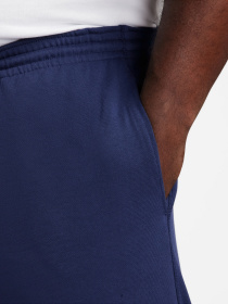 Шорты NIKE CLUB KNIT SHORT модель FQ4359-410 Фото