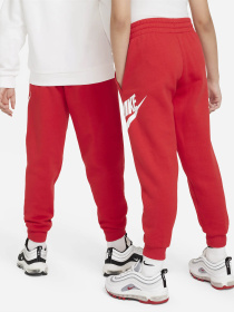 Брюки NIKE CLUB FLEECE модель FD2995-657 Фото