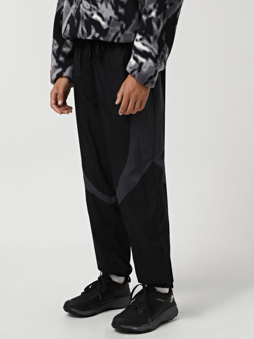 Брюки NIKE AIR JORDAN SPORT JAM модель FN5850-010 Фото