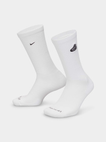 Шкарпетки та гольфи NIKE EVERYDAY PLUS CUSHIONED CREW модель HJ0916-100 Фото