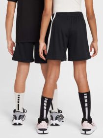 Шорты NIKE DRI-FIT SWOOSH модель FV0269-010 Фото