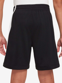 Шорты NIKE DRI-FIT SWOOSH модель FV0269-010 Фото