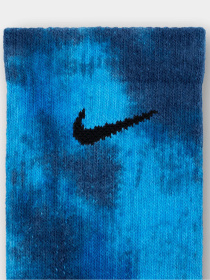 Шкарпетки та гольфи NIKE EVERYDAY PLUS CUSHIONED CREW 2 модель FJ0747-910 Фото