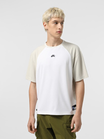 Футболки і поло NIKE SB DRI-FIT KNIT SKATE модель HJ2956-100 Фото