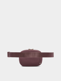 Сумки NIKE AURA модель HM6120-502 Фото