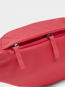 Сумки NIKE SB Heritage Hip Bag модель CK5884-610 Фото