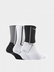 Шкарпетки та гольфи NIKE EVERYDAY PLUS LIGHTWEIGHT модель CK6021-904 Фото