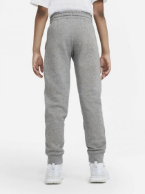 Брюки NIKE Sportswear Jogger модель DA0864-091 Фото