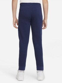 Брюки NIKE Sportswear Jogger модель DA0864-410 Фото