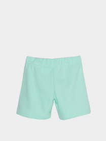 Шорти NIKE Sportswear модель DA1405-379 Фото