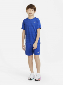 Футболки и поло NIKE Dri-FIT Miler модель DD3055-480 Фото