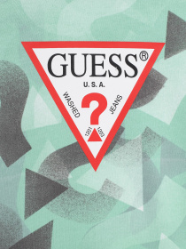 Худі та світшоти GUESS модель L3YQ01.KA6R3;P6GM Фото