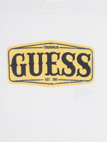 Худі та світшоти GUESS модель L3BI00.I3Z14;G011 Фото