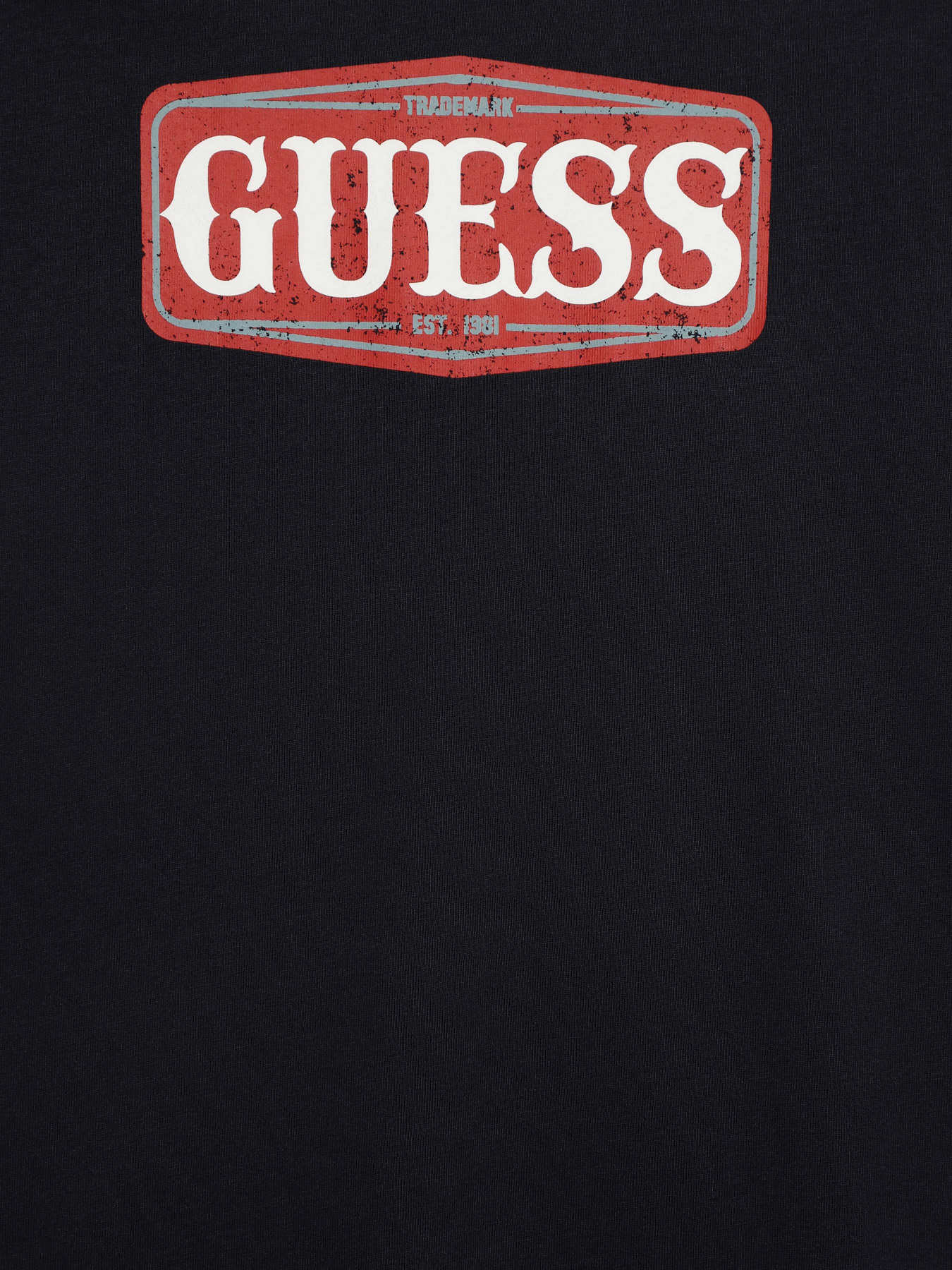 Худі та світшоти GUESS модель L3BI00.I3Z14;G7V2 Фото