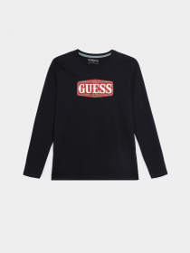 Худі та світшоти GUESS модель L3BI00.I3Z14;G7V2 Фото