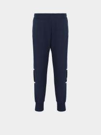 Штани EA7 Athletic Colour Block модель 6DPP92-PJTKZ-1562 Фото