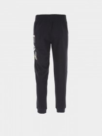 Брюки EA7 Logo Series модель 6LPP80-PJFGZ-0208 Фото