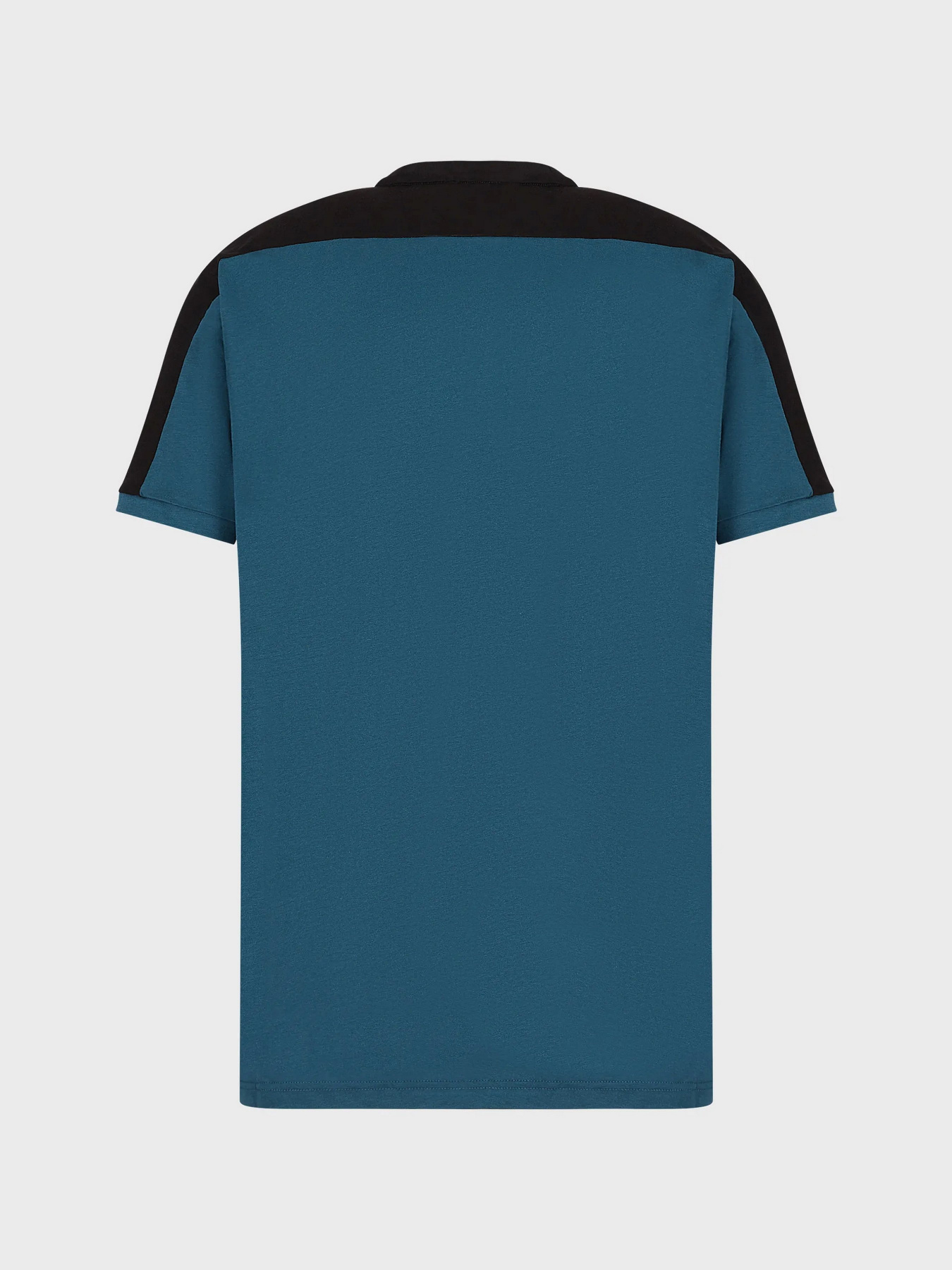 Футболки и поло EA7 Athletic Colour Block модель 6LPT06-PJ02Z-1857 Фото
