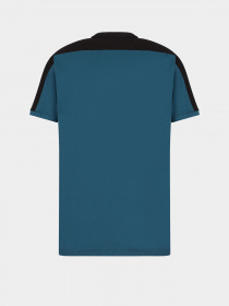 Футболки и поло EA7 Athletic Colour Block модель 6LPT06-PJ02Z-1857 Фото