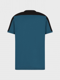 Футболки и поло EA7 Athletic Colour Block модель 6LPT06-PJ02Z-1857 Фото
