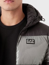 Куртки та дублянки EA7 модель 6LPB10-PN5ZZ-1200 Фото