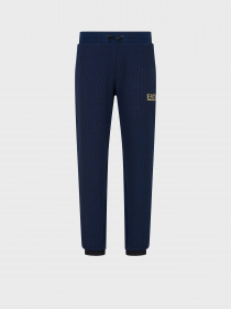 Штани EA7 Gold Label модель 6RPP70-PJG1Z-1554 Фото